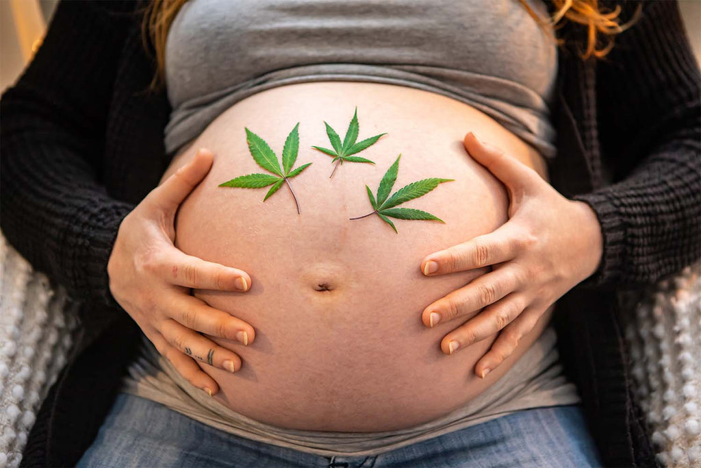 CBD During Pregnancy: Is It Safe?