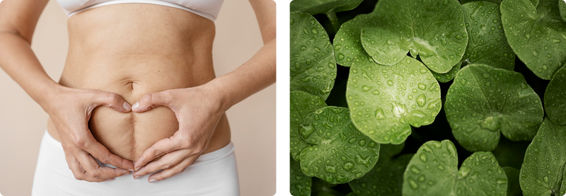 A person in white clothing forms a heart shape with their hands on their bare abdomen. Next to this, there is a close-up of green leaves with water droplets on them.