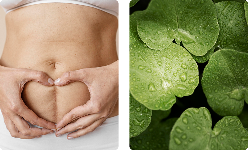 A person forms a heart shape with their hands on their bare stomach with stretch marks, next to a close-up of green leaves covered in droplets of water.